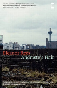 Enlarge image Cover: Andraste's Hair - Salt Publishing