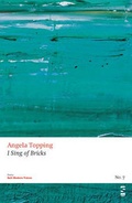 Cover: I Sing of Bricks - Salt Publishing