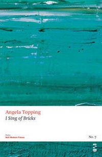 Enlarge image Cover: I Sing of Bricks - Salt Publishing