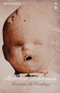 Cover: Between the Crackups - Salt Publishing