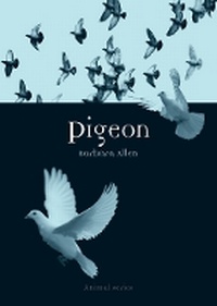 Enlarge image Cover: Pigeon - Reaktion Books