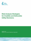 Cover: Risk Analysis Strategies For Credible and Defensible Utility Decisions - IWA Publishing
