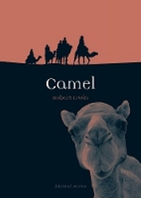 Abbildung von: Camel - Reaktion Books
