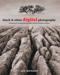 Abbildung von: Black and White Digital Photography - COLLINS & BROWN