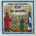Cover: Cyfres Stori Llun-yn-Symud: Iesu yn Iachau - Cyhoeddiadau'r Gair