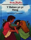 Cover: Cyfres Storiau o'r Beibl Enid Blyton: Baban yn yr Hesg, Y - Cyhoeddiadau'r Gair