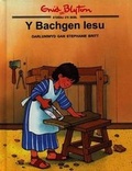 Cover: Cyfres Storiau o'r Beibl Enid Blyton: Bachgen Iesu, Y - Cyhoeddiadau'r Gair