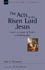 Cover: The Acts of the Risen Lord Jesus - Apollos