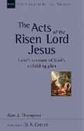 Cover: The Acts of the Risen Lord Jesus - Apollos