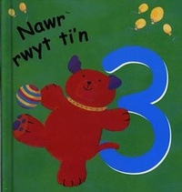 Enlarge image Cover: Nawr Rwyt Ti'n 3 - Cyhoeddiadau'r Gair
