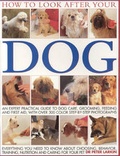 Cover: How to Look After Your Dog - Southwater