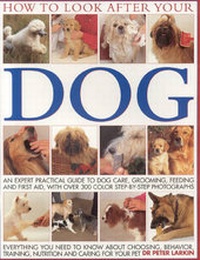 Enlarge image Cover: How to Look After Your Dog - Southwater