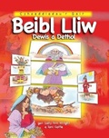 Cover: Beibl Lliw Dewis a Dethol - Cyhoeddiadau'r Gair