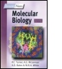 Cover: BIOS Instant Notes in Molecular Biology - Bios Scientific Publishers Ltd