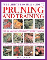 Enlarge image Cover: Pruning - Hermes House