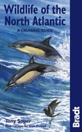 Cover: Wildlife of the North Atlantic - Bradt Travel Guides