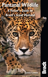 Abbildung von: Pantanal Wildlife - Bradt Travel Guides