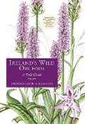Cover: Ireland's Wild Orchids - The Collins Press