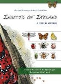 Cover: Insects of Ireland - The Collins Press