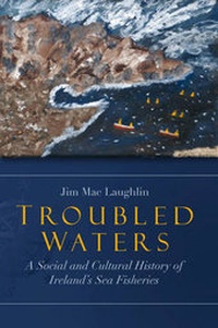 Enlarge image Cover: Troubled Waters - Four Courts Press Ltd