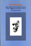 Cover: The Figure in the Cave - The Lilliput Press Ltd