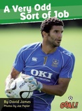 Cover: A Very Odd Sort of Job - Ransom Publishing