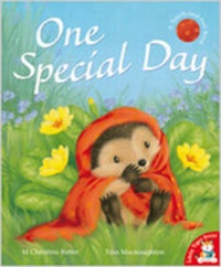 Enlarge image Cover: One Special Day - Little Tiger Press