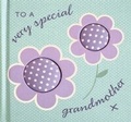 Cover: To A Very Special Grandmother - Little Tiger Press