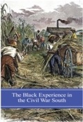 Cover: The Black Experience in the Civil War South - Praeger Publishers Inc
