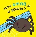 Cover: How Small is a Spider? - Ticktock Books