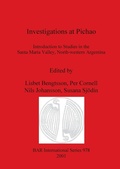 Cover: Investigations at Pichao - BAR Publishing