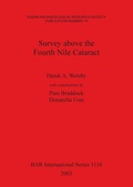 Cover: Survey Above the Fourth Nile Cataract - BAR Publishing