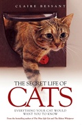 Cover: The Secret Life of Cats - John Blake
