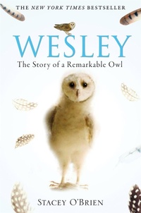 Enlarge image Cover: Wesley - Constable