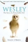 Cover: Wesley - Constable