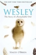 Cover: Wesley - Constable