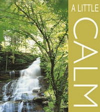 Enlarge image Cover: A Little Calm - Kudos Books