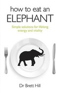 Cover: How to Eat an Elephant - Ayni Books