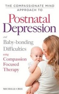 Cover: A Compassionate Mind Approach to Post-natal Depression and Baby-Bonding Difficulties - Robinson Publishing