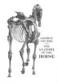Cover: Anatomy of the Horse - Pallas Athene Arts