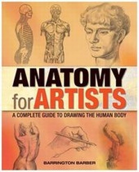 Abbildung von: Anatomy for Artists - Arcturus