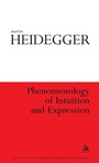 Cover: Phenomenology of Intuition and Expression - Continuum International Publishing Group Ltd.