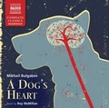 Cover: A Dog's Heart - Naxos AudioBooks