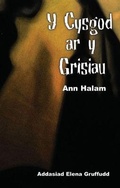 Cover: Cyfres Ar Bigau: Y Cysgod ar y Grisiau - CAA Cymru