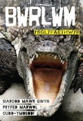 Cover: Cyfres Bwrlwm: Ysglyfaethwyr - CAA Cymru