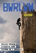 Cover: Cyfres Bwrlwm: Dringo - CAA Cymru