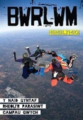Cover: Cyfres Bwrlwm: Nenblymio - CAA Cymru
