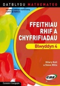 Cover: Datblygu Mathemateg: Ffeithiau Rhif a Chyfrifiadau Blwyddyn 4 - CAA Cymru