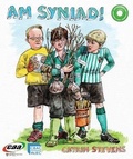 Cover: Pen-i-Waered: Y Senedd/Am Syniad! - CAA Cymru