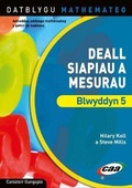 Cover: Datblygu Mathemateg: Deall Siapiau a Mesurau Blwyddyn 6 - CAA Cymru